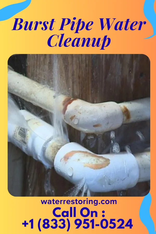 Burst Pipe Water Cleanup in Saltillo, IN