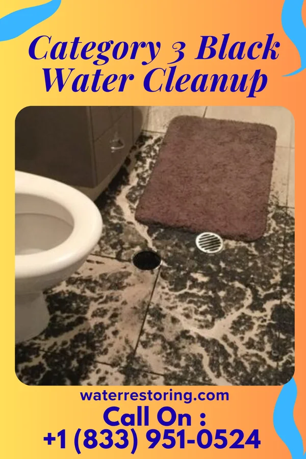 Category 3 Black Water Cleanup in Saltillo, IN