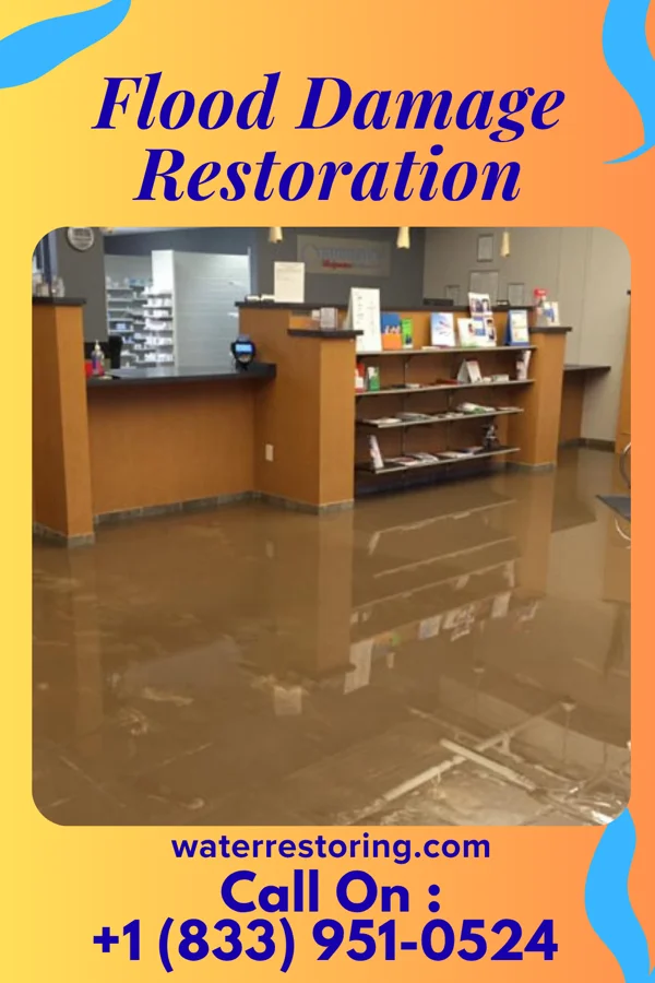 Flood Damage Restoration in Saltillo, IN