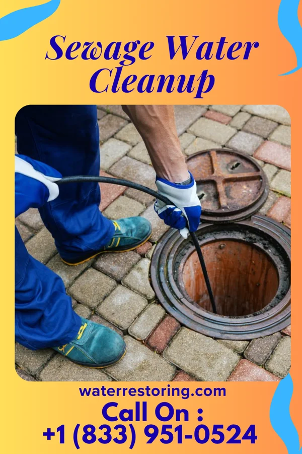 Sewage Water Cleanup in Saltillo, IN